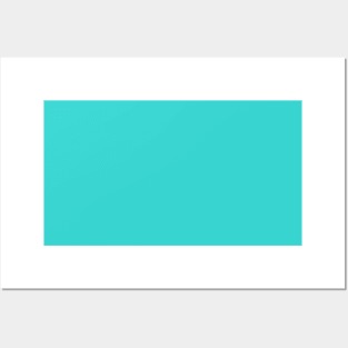 preppy Trendy fashion  solid color Aqua Teal Turquoise Posters and Art